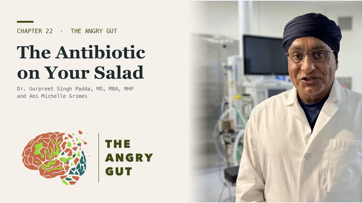 Dr. Gurpreet Singh Padda presenting beside the title card The Antibiotic on Your Salad, The Angry Gut, Chapter 22